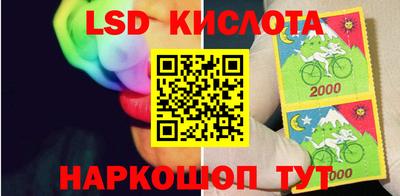 PSILOCYBIN Обнинск