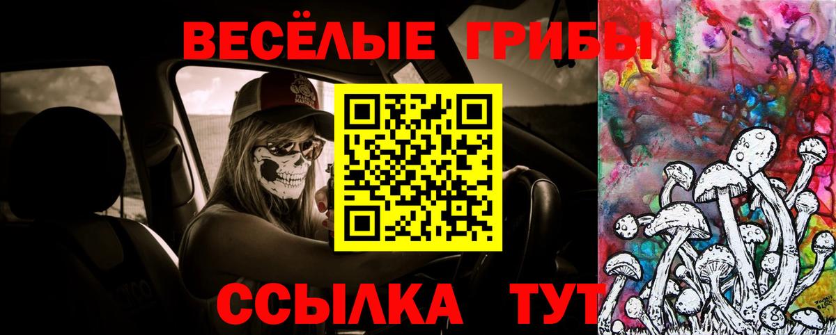 продажа наркотиков  Псилоцибиновые грибы Psilocybe  Вход с VPN  Сызрань 