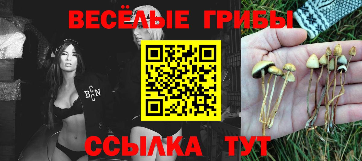 Псилоцибиновые грибы мицелий Сызрань